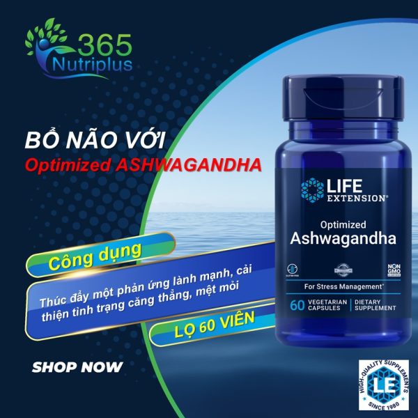 Viên uống bổ não, duy trì trí nhớ, giảm căng thẳng